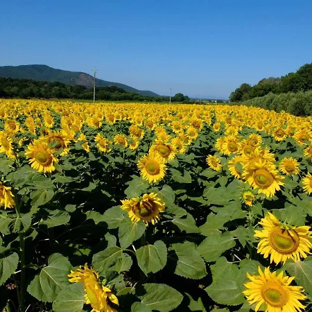 Agriturismo Pian D'alma