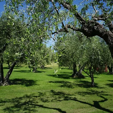 Agriturismo Pian D'alma Scarlino
